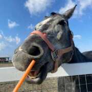 ヒメ日記 2025/05/16 17:03 投稿 流川カヲル-KINDAN- KINDAN-禁断-