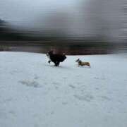 ヒメ日記 2025/05/20 14:09 投稿 流川カヲル-KINDAN- KINDAN-禁断-