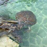 ヒメ日記 2025/06/08 15:08 投稿 流川カヲル-KINDAN- KINDAN-禁断-