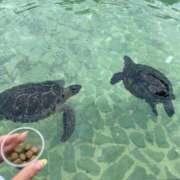 ヒメ日記 2025/07/31 13:05 投稿 流川カヲル-KINDAN- KINDAN-禁断-