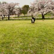 ヒメ日記 2025/08/03 13:12 投稿 流川カヲル-KINDAN- KINDAN-禁断-