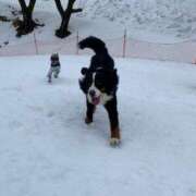 ヒメ日記 2025/10/30 11:20 投稿 流川カヲル-KINDAN- KINDAN-禁断-