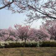 ヒメ日記 2026/04/19 16:16 投稿 流川カヲル-KINDAN- KINDAN-禁断-