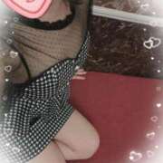 ヒメ日記 2025/07/23 09:28 投稿 さくら Mrs Sirena（ミセスシレナ）