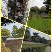 ヒメ日記 2025/03/26 20:06 投稿 ことね 池袋おかあさん