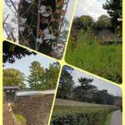 ヒメ日記 2025/03/26 20:25 投稿 ことね 池袋おかあさん