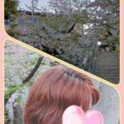 ヒメ日記 2025/04/07 22:14 投稿 ことね 池袋おかあさん