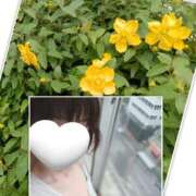 ヒメ日記 2025/06/04 22:34 投稿 ことね 池袋おかあさん