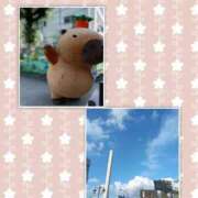 ヒメ日記 2025/07/13 20:04 投稿 ことね 池袋おかあさん