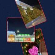 ヒメ日記 2025/11/22 22:34 投稿 ことね 池袋おかあさん