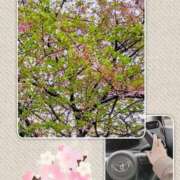 ヒメ日記 2026/03/18 20:04 投稿 ことね 池袋おかあさん