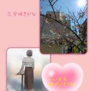 ヒメ日記 2026/03/24 14:29 投稿 ことね 池袋おかあさん