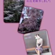 ヒメ日記 2026/03/29 20:54 投稿 ことね 池袋おかあさん