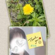 ヒメ日記 2026/04/23 00:24 投稿 ことね 池袋おかあさん