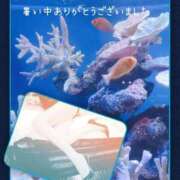 ヒメ日記 2026/07/24 23:54 投稿 ことね 池袋おかあさん