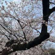 ヒメ日記 2026/04/07 23:20 投稿 みる 妹系イメージSOAP萌えフードル学園 大宮本校