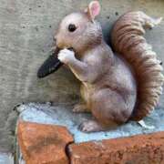 ヒメ日記 2025/01/27 12:08 投稿 みさき 池袋おかあさん