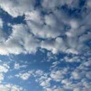 ヒメ日記 2025/02/14 13:04 投稿 みさき 池袋おかあさん