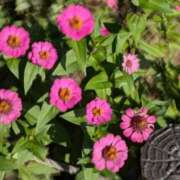 ヒメ日記 2025/03/10 12:24 投稿 みさき 池袋おかあさん