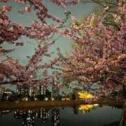 ヒメ日記 2025/03/13 13:20 投稿 みさき 池袋おかあさん