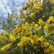 ヒメ日記 2025/03/21 12:04 投稿 みさき 池袋おかあさん