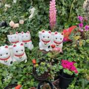 ヒメ日記 2025/03/25 12:24 投稿 みさき 池袋おかあさん