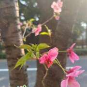 ヒメ日記 2025/03/31 13:14 投稿 みさき 池袋おかあさん