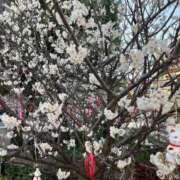 ヒメ日記 2025/04/02 14:15 投稿 みさき 池袋おかあさん