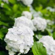 ヒメ日記 2025/06/17 12:56 投稿 みさき 池袋おかあさん