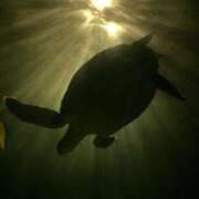 ヒメ日記 2025/07/15 13:29 投稿 みさき 池袋おかあさん