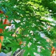 ヒメ日記 2025/07/24 12:00 投稿 みさき 池袋おかあさん