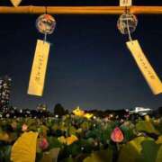 ヒメ日記 2025/07/28 11:54 投稿 みさき 池袋おかあさん