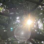 ヒメ日記 2025/08/04 14:14 投稿 みさき 池袋おかあさん