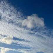 ヒメ日記 2025/08/05 12:18 投稿 みさき 池袋おかあさん