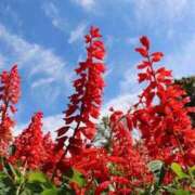 ヒメ日記 2025/08/19 12:44 投稿 みさき 池袋おかあさん