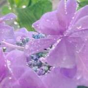 ヒメ日記 2025/09/05 12:24 投稿 みさき 池袋おかあさん