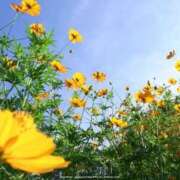 ヒメ日記 2025/09/09 13:16 投稿 みさき 池袋おかあさん