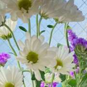 ヒメ日記 2025/10/03 13:22 投稿 みさき 池袋おかあさん