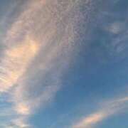 ヒメ日記 2025/10/14 12:24 投稿 みさき 池袋おかあさん