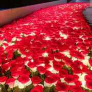 ヒメ日記 2025/10/28 11:54 投稿 みさき 池袋おかあさん