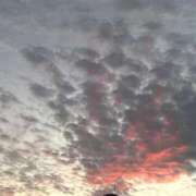 ヒメ日記 2025/11/25 12:14 投稿 みさき 池袋おかあさん