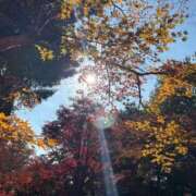 ヒメ日記 2025/11/28 10:56 投稿 みさき 池袋おかあさん