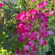 みさき 出勤致しました✨ 池袋おかあさん