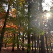 みさき 出勤致します✨ 池袋おかあさん