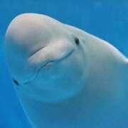 ヒメ日記 2026/01/23 12:20 投稿 みさき 池袋おかあさん