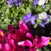 ヒメ日記 2026/01/26 09:54 投稿 みさき 池袋おかあさん