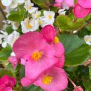 ヒメ日記 2026/01/29 13:24 投稿 みさき 池袋おかあさん