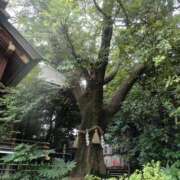 みさき 出勤致します✨ 池袋おかあさん