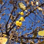 ヒメ日記 2026/02/13 11:34 投稿 みさき 池袋おかあさん