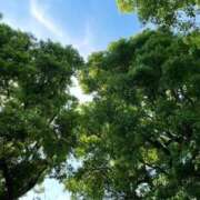 みさき 出勤致しました✨ 池袋おかあさん